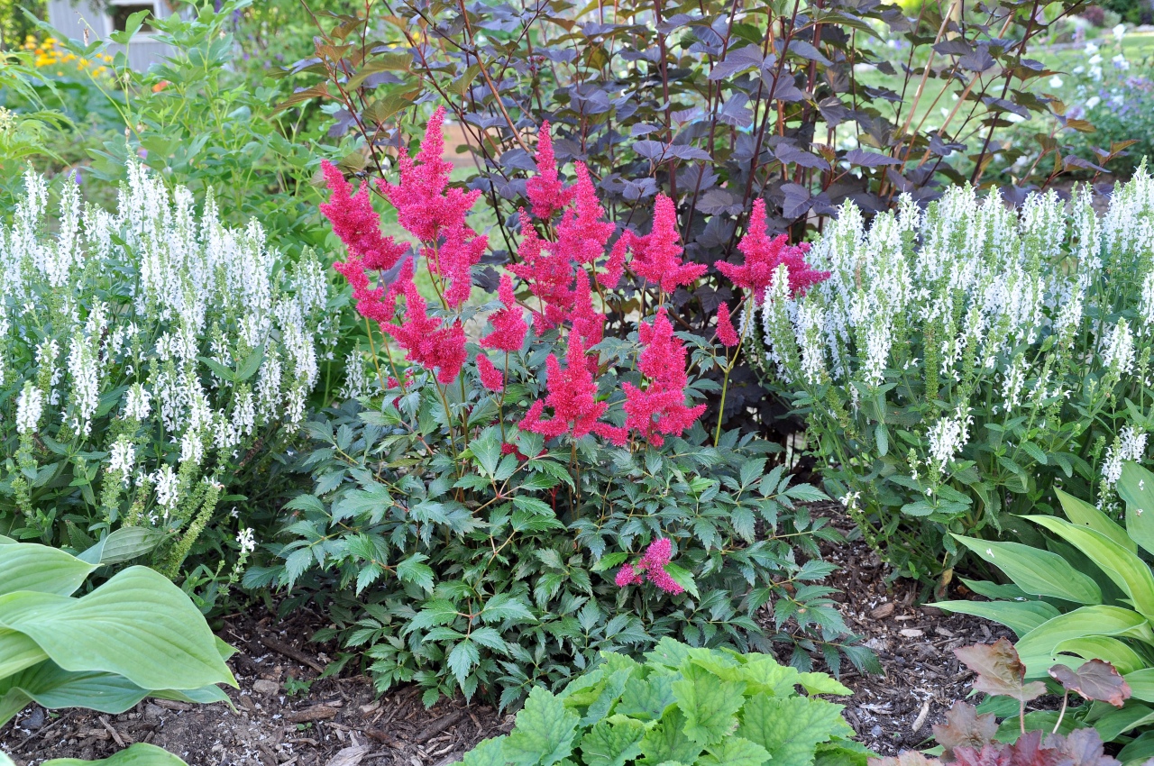 20100803-0067